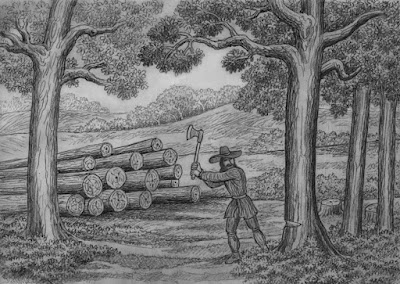 A man dressed as a pilgrim wearing a prominent wide-brimmed hat and chopping a tree with an axe. Other trees can be seen in the background, along with a pile of stacked logs.